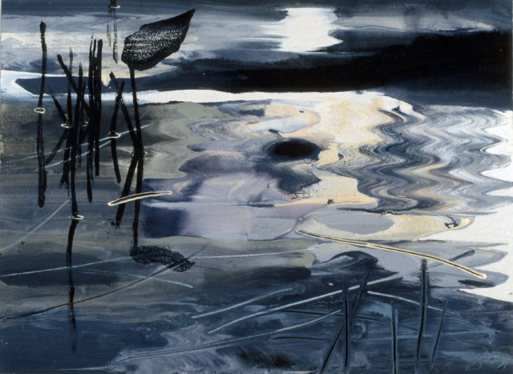 230 Pond Cosmology #4