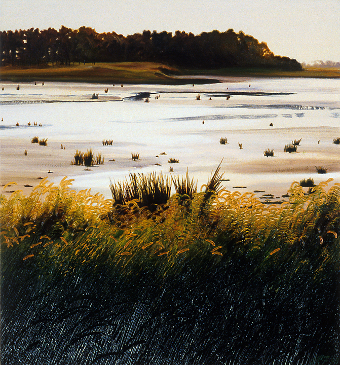 294 Tidal Flats Bombay Hook.jpg