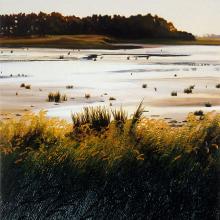 294 Tidal Flats Bombay Hook.jpg