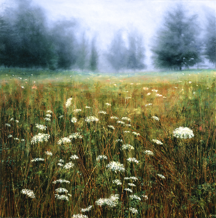 457 Queen Anne's Lace