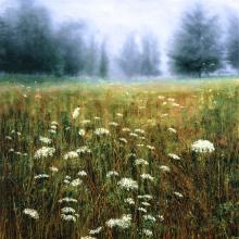 457 Queen Anne's Lace