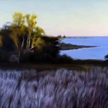 481 Last Light, Naushon