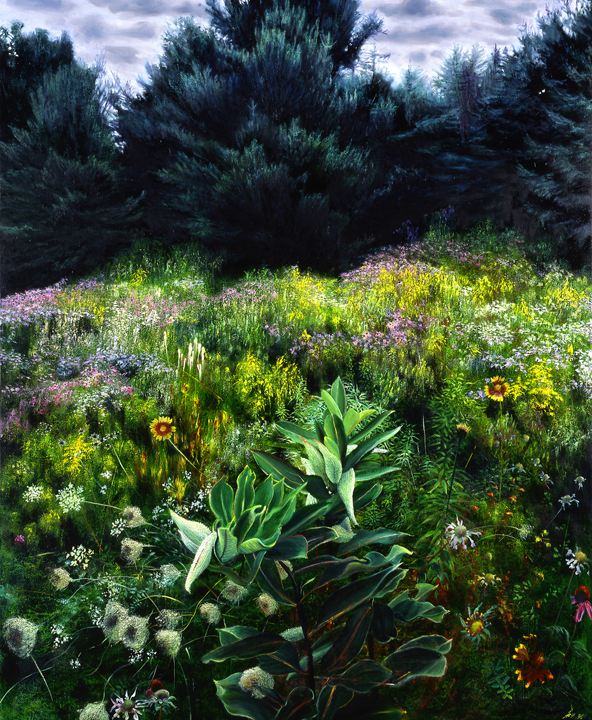 497 Milkweed,Wildflowers, and Pines