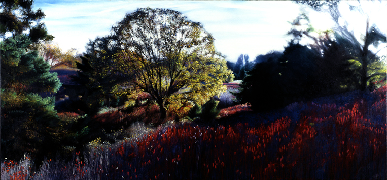 508 Mid-Island October.jpg