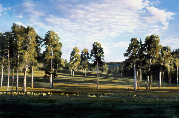 517 Near Lagunitas, New Mexico