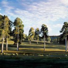 517 Near Lagunitas, New Mexico