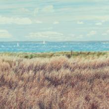 528 Vineyard Sound from Tarpaulin Cove