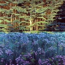 553 Shadowed Meadow, Sunlit Pines