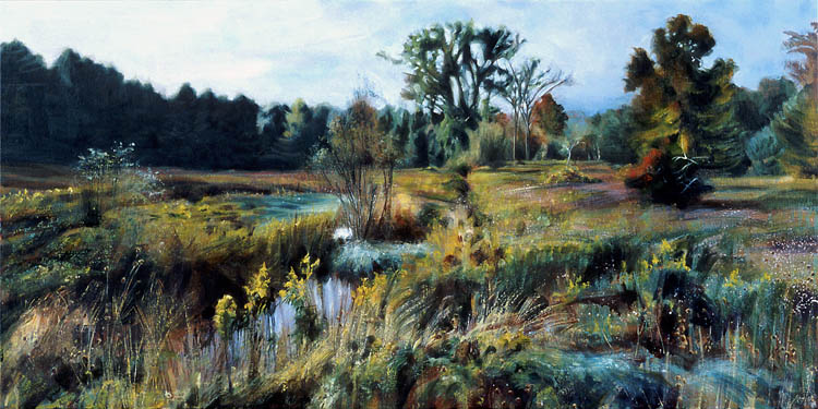 559 October Meadow, Sunrise