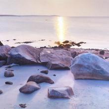 562 Sun, Sea, Sand, Stones; Low Tide
