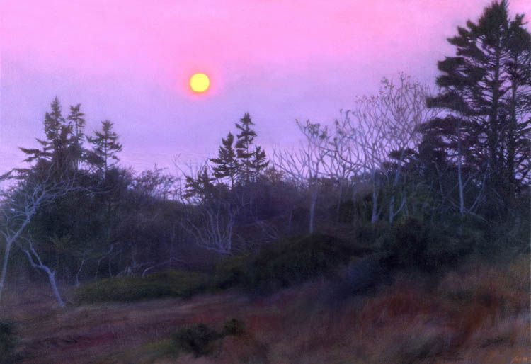 571 Sunset Walk, Last Look