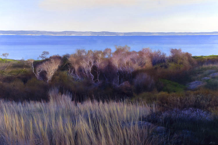 605 Late Afternoon, South Shore Road