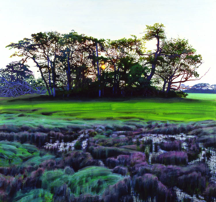 634 Salt Marsh, Sunrise