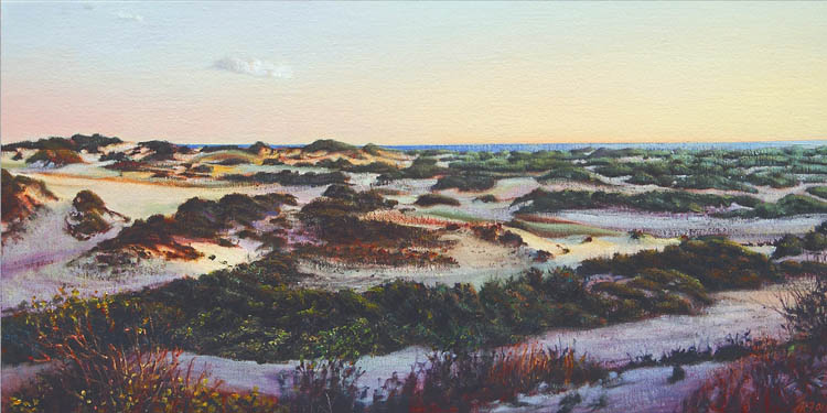 714 Provincelands Near Herring Cove