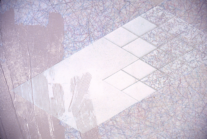 Germination - detail