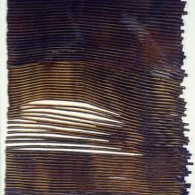 Small Feathered Pulse