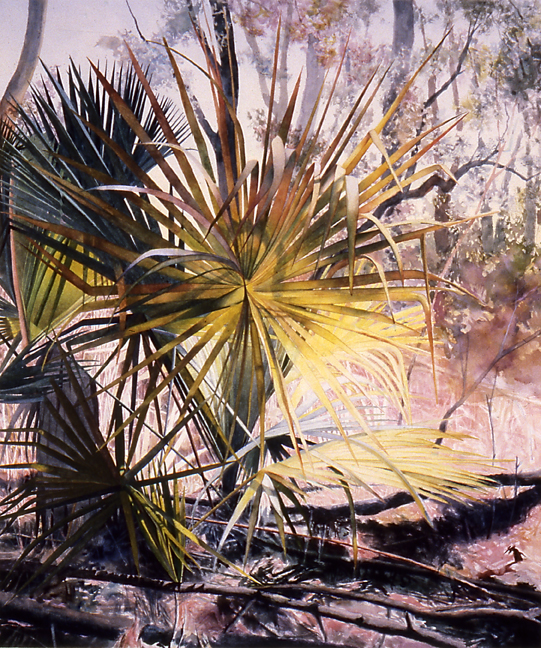 Ossabaw Palmetto