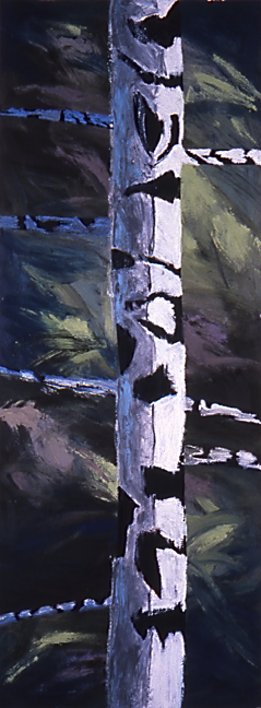 Daylight Birch Study