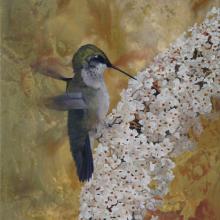 1002 Butterfly Bloom & Hummingbird