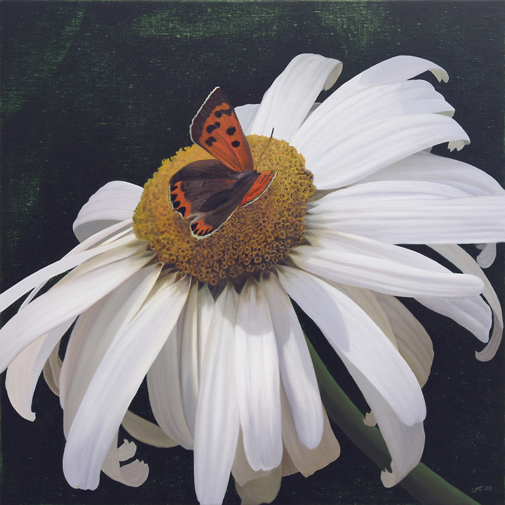 1003 American Copper