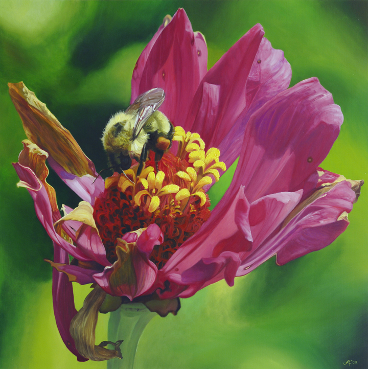 1009 Bumblebee and Zinnia