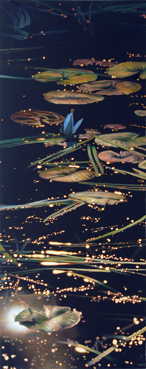 1013 Lily Pads and Dazzles