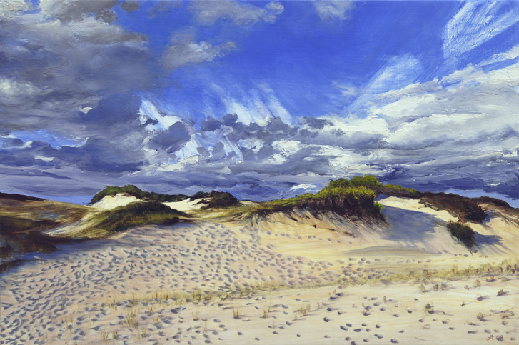 1037 Provinceland Dunes