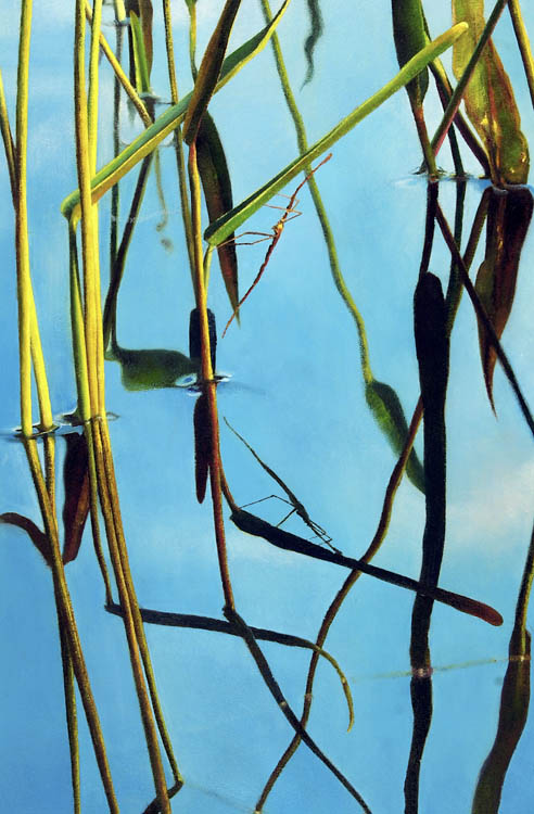 698 Walking Stick- detail