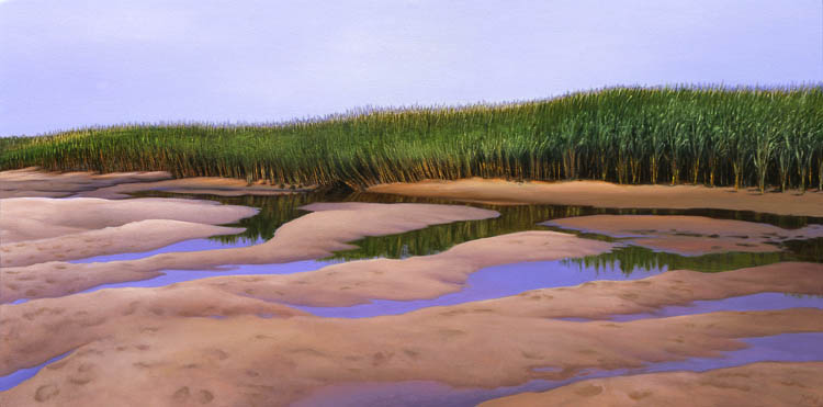 711 Tidal Flats & Reeds