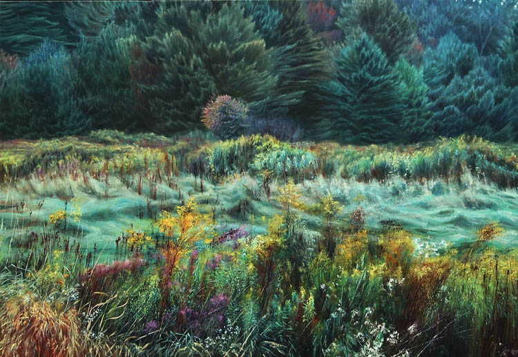 712 Hillsdale Meadow, October Dawn