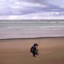 729 Collecting Stones