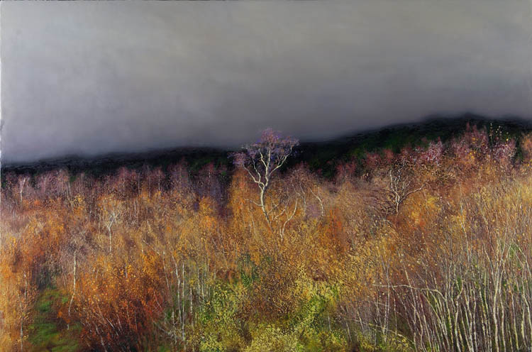 734 Fogbank & Foliage