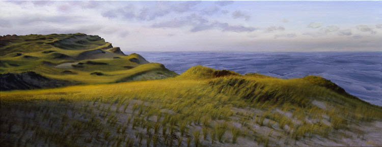 738 High Dunes between Ballston and Longnook