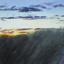 754 Path, Grass, and Clouds