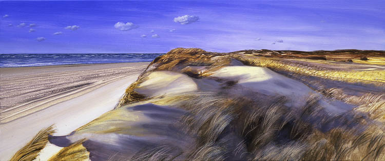 758 Duck Harbor Dunes