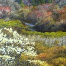 770 Pamet Valley, Early Spring