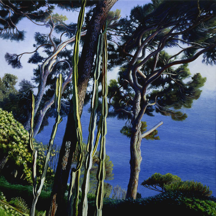 778 In the Villa Garden (Succulents and Pines)