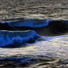 805 Trough and Rollers