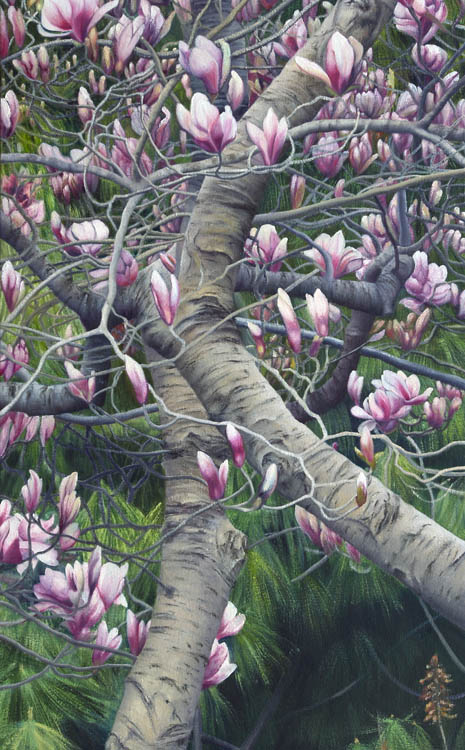 824 Magnolias & Pines #1 - detail