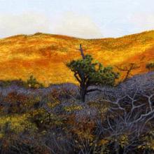 842 Small's Hill, Autumn Afternoon