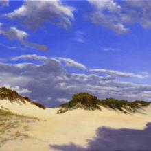 873 Afternoon Shadows