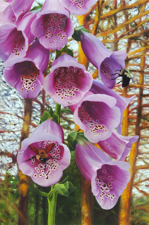 996 Pollinating the Foxglove