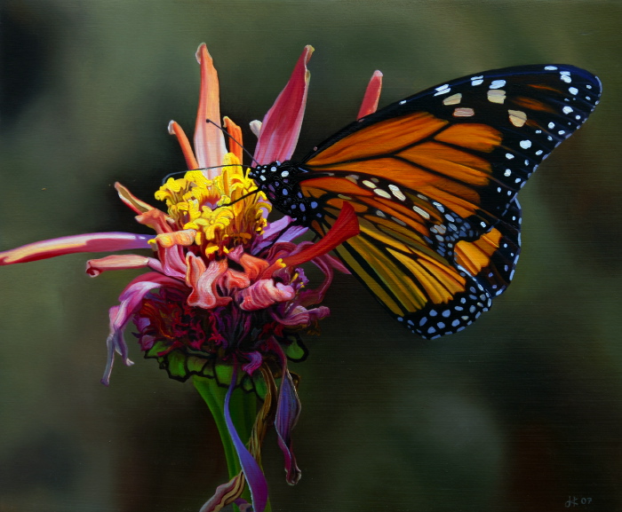 984 Monarch and Zinnia