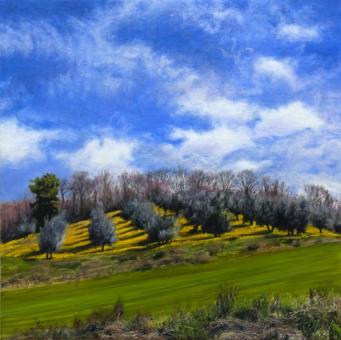 920 Olive Trees and Buttercups