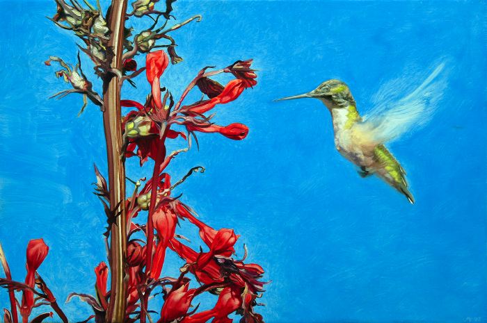 915 Hummingbird and Lobelia