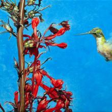 915 Hummingbird and Lobelia