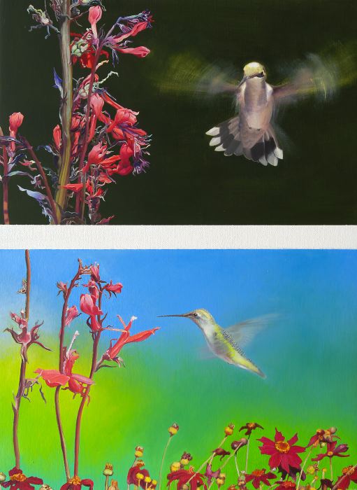 915 Hummingbirds and Lobelia