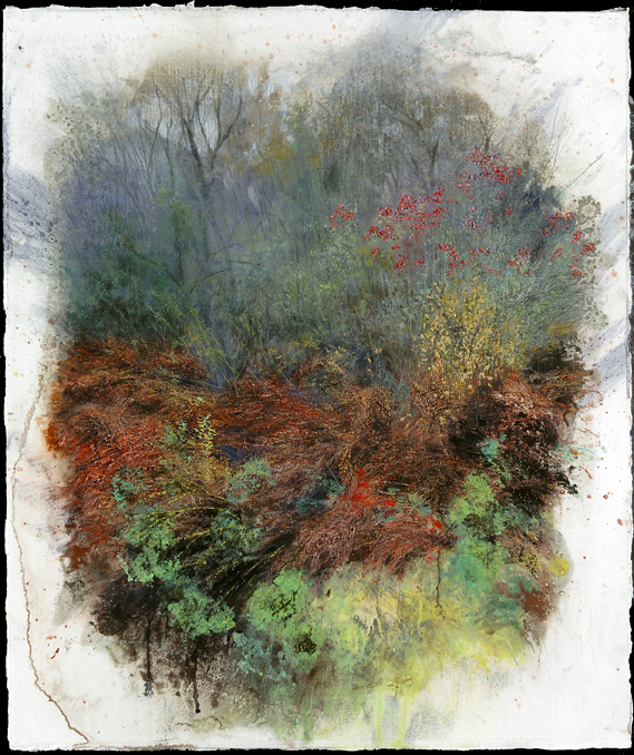 1059 Wellfleet Thicket