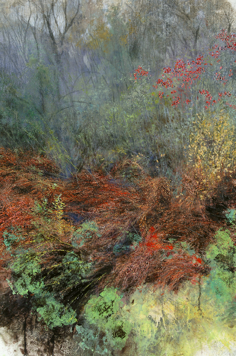 1059 Wellfleet Thicket, detail