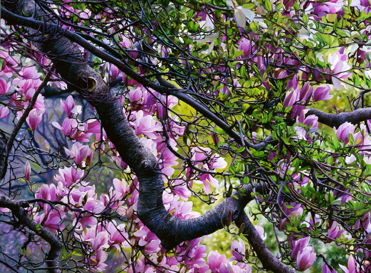 2022 Magnolia Space, detail 1